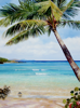 Palm Beach